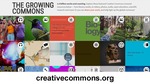 MISSING THUMBNAIL